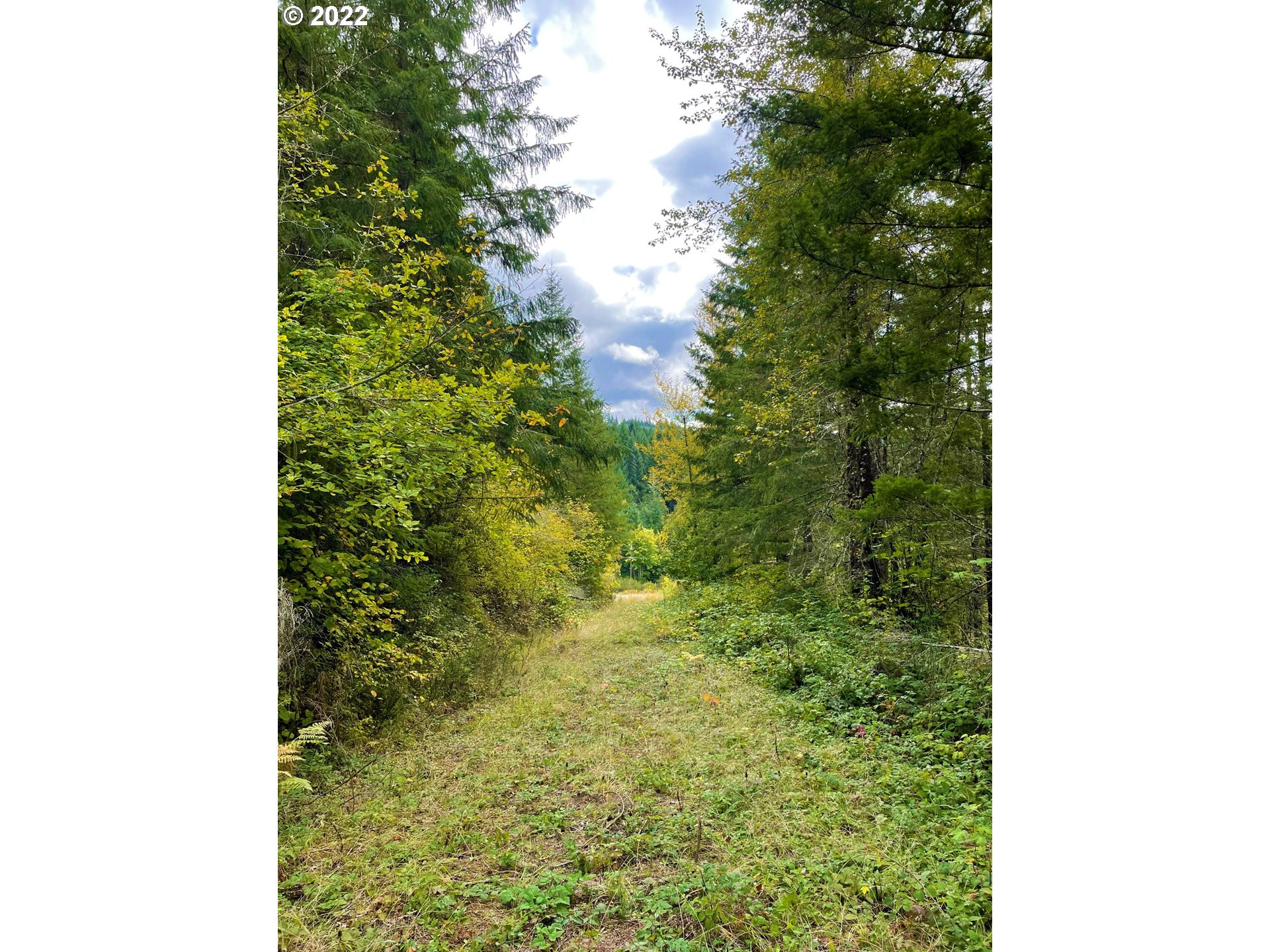 Garoutte Road West, Unit TL900 Cottage Grove, OR 97424 - Photo 29 of 31 Gallery Image 29