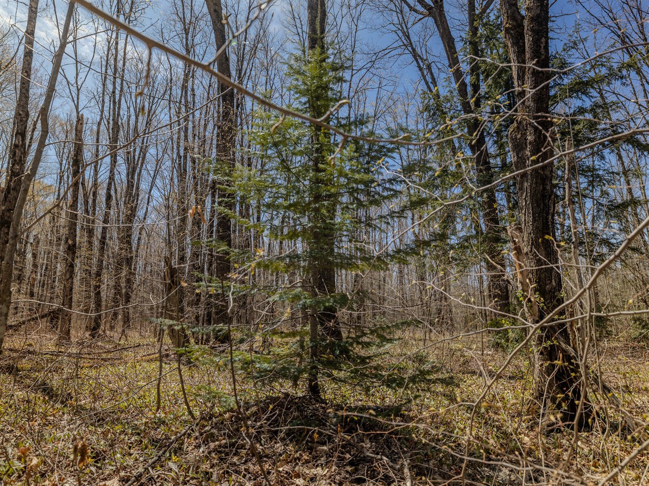 Lot 2 East Shore Road Bergland, MI 49910 - Photo 19 of 25