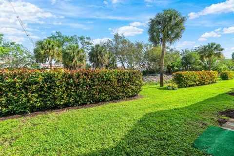 a view of a yard with a tree