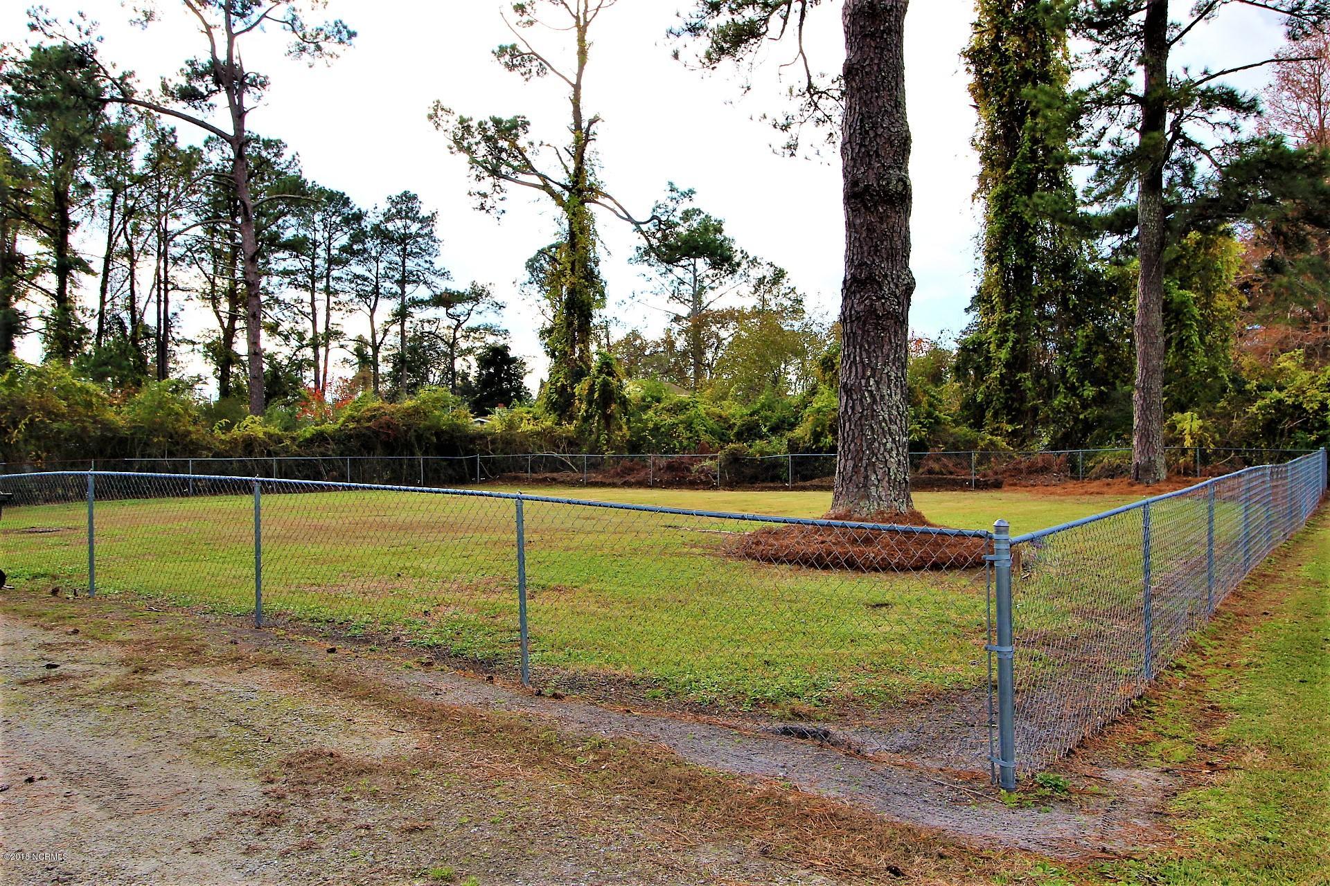 200 Riverside Drive New Bern, NC 28560 - Photo 59 of 64 Enjoy using this yard for a game of football, badminton, corn hole or horse shoes