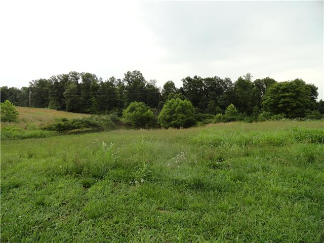 609 Colliers Bend Road Charlotte, TN 37036 - Photo 3 of 14 Gallery Image 3