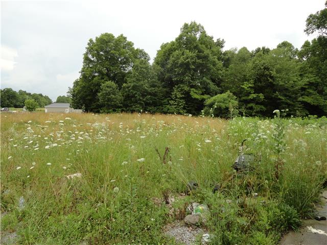 609 Colliers Bend Road Charlotte, TN 37036 - Photo 6 of 14 Gallery Image 6