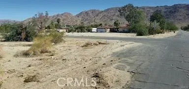a view of dirt yard with a large tree