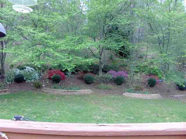 204 Sheffield Road Greer, SC 29651 - Photo 12 of 15