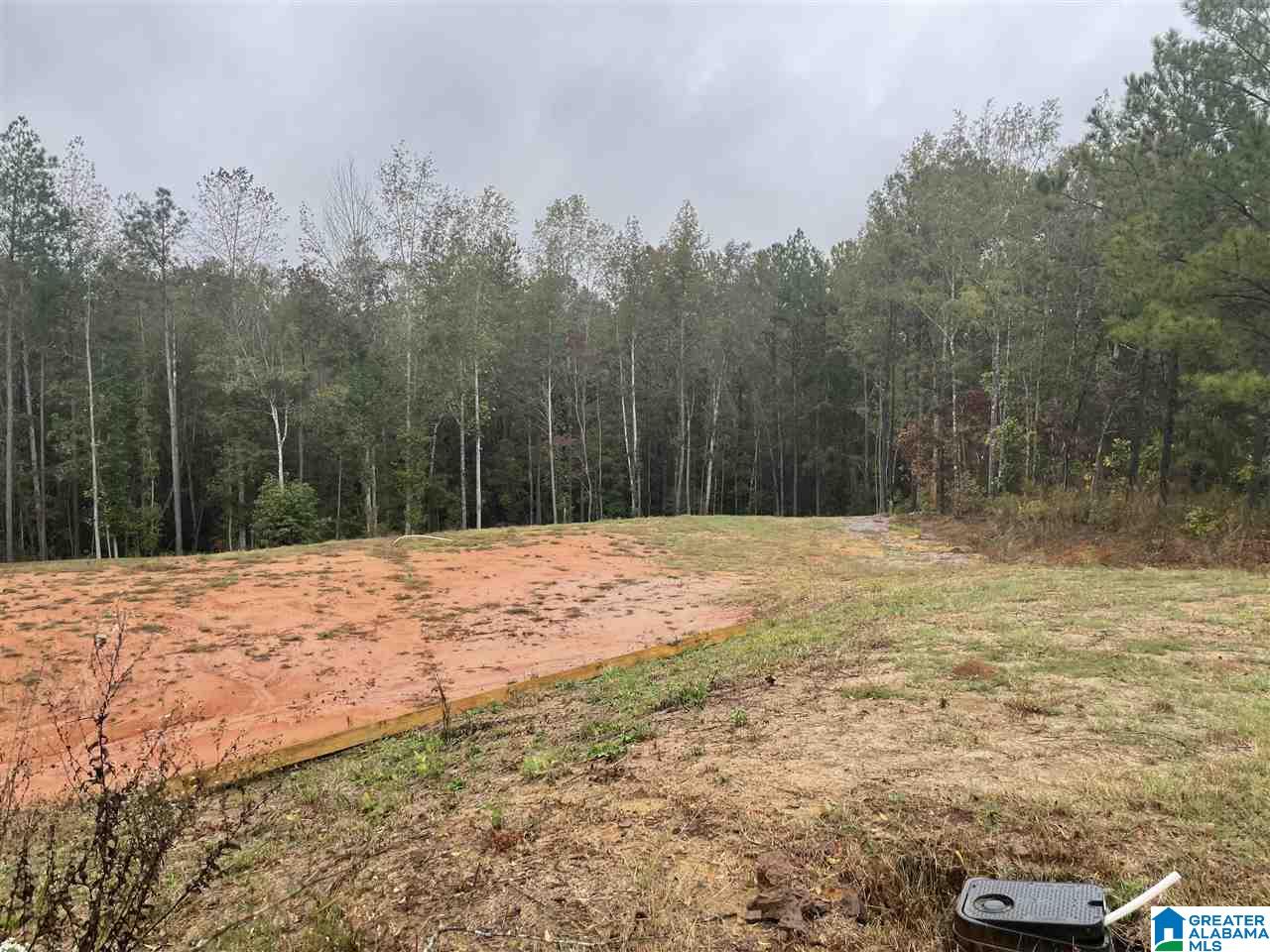 60 County Road 985 Jemison, AL 35085 - Photo 1 of 3