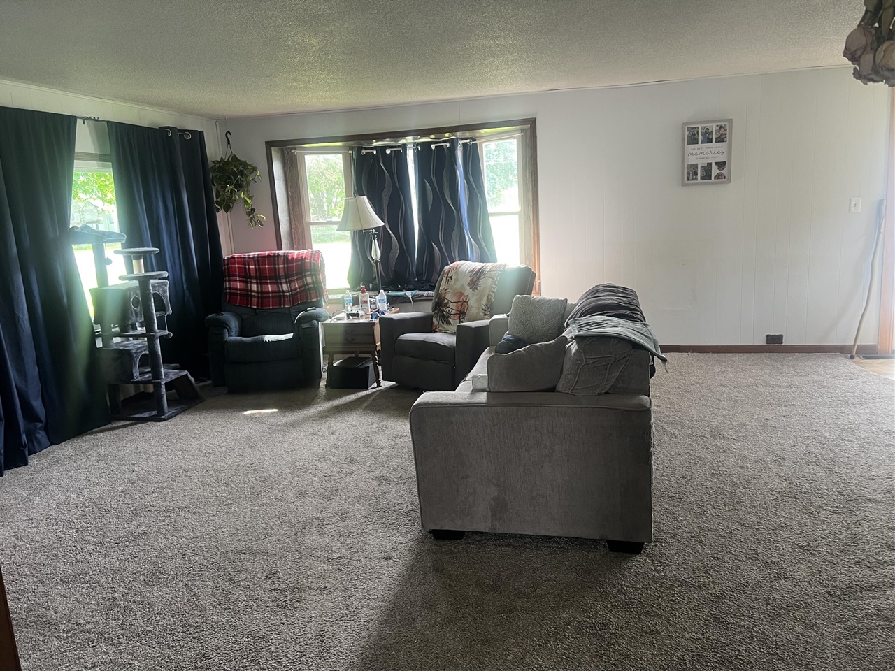 228 West Forest Street Edmore, MI 48829 - Photo 4 of 14