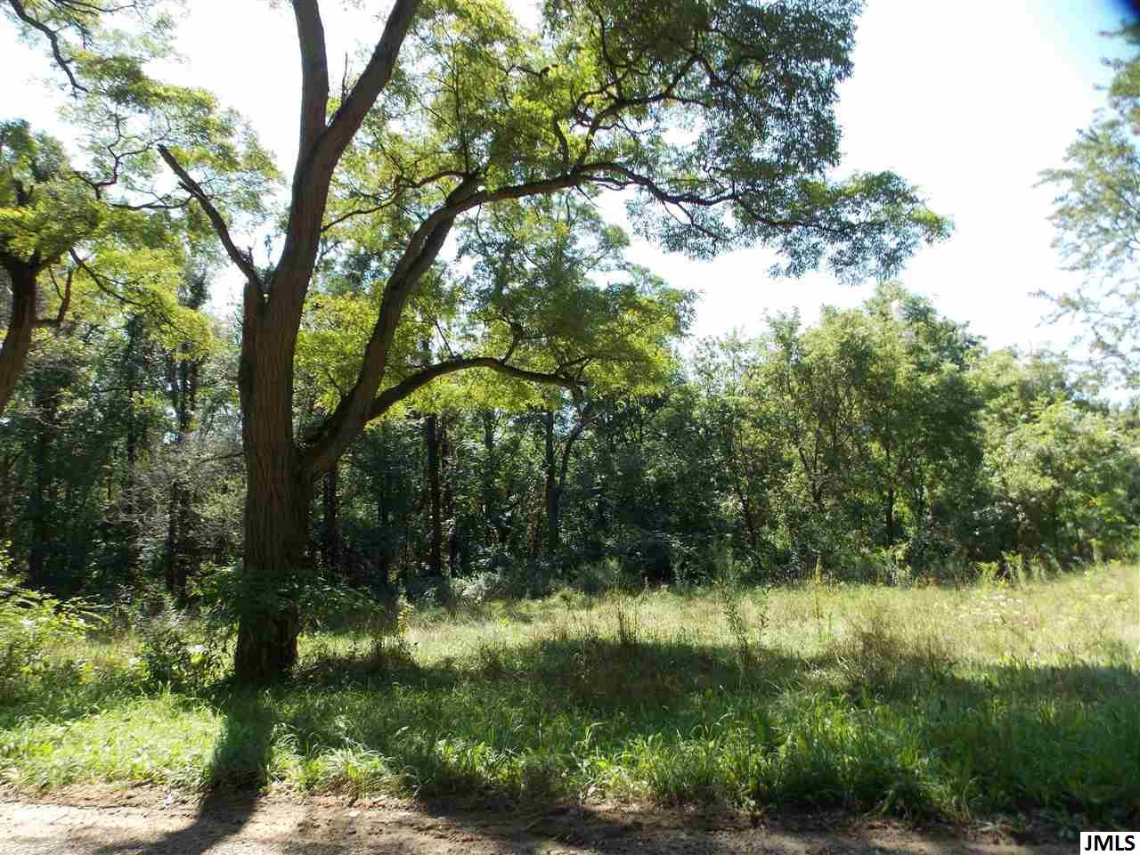 8600 Glenn Road Grass Lake, MI 49240 - Photo 2 of 7 Photo 2