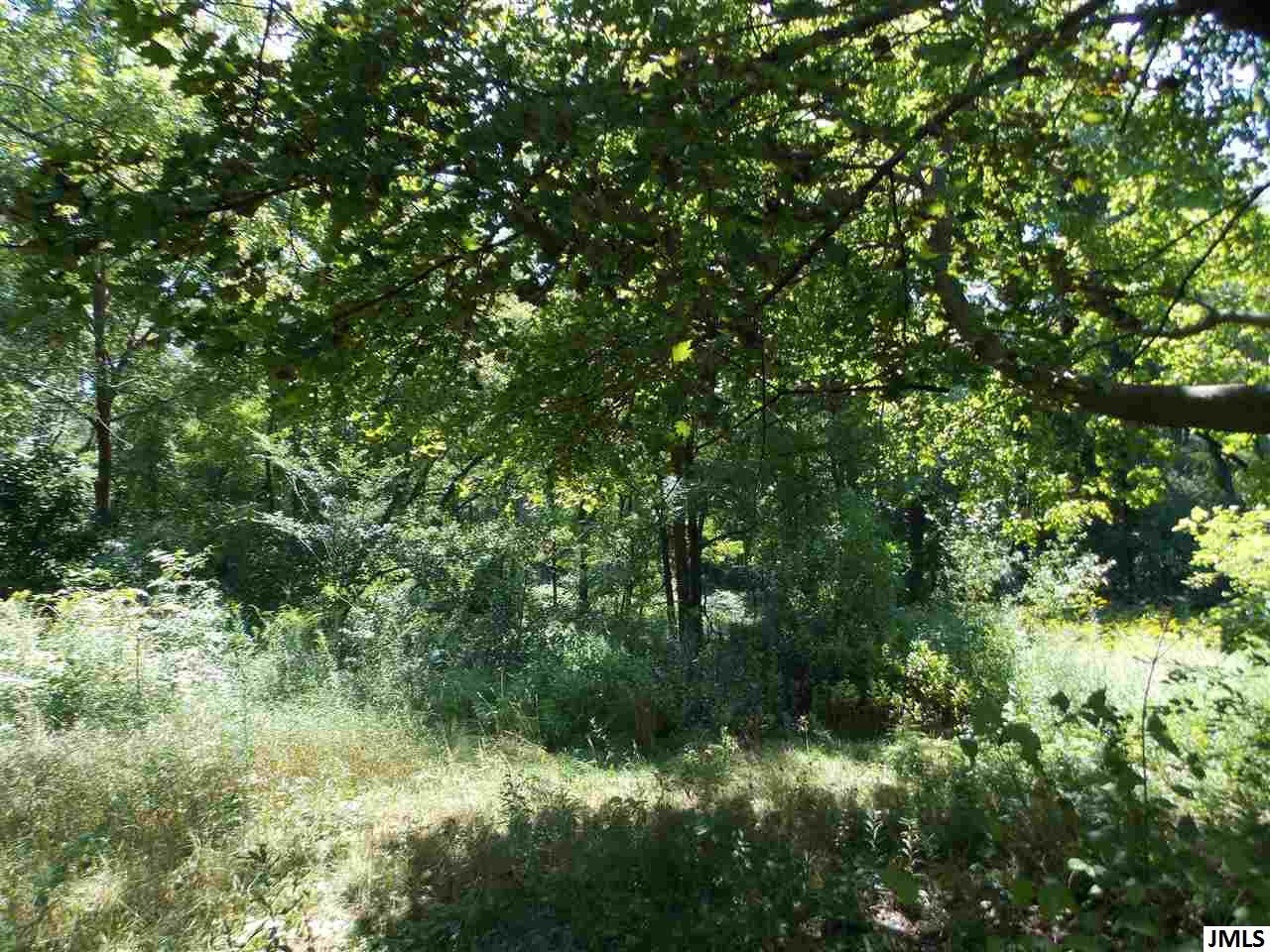 8600 Glenn Road Grass Lake, MI 49240 - Photo 4 of 7 Photo 4