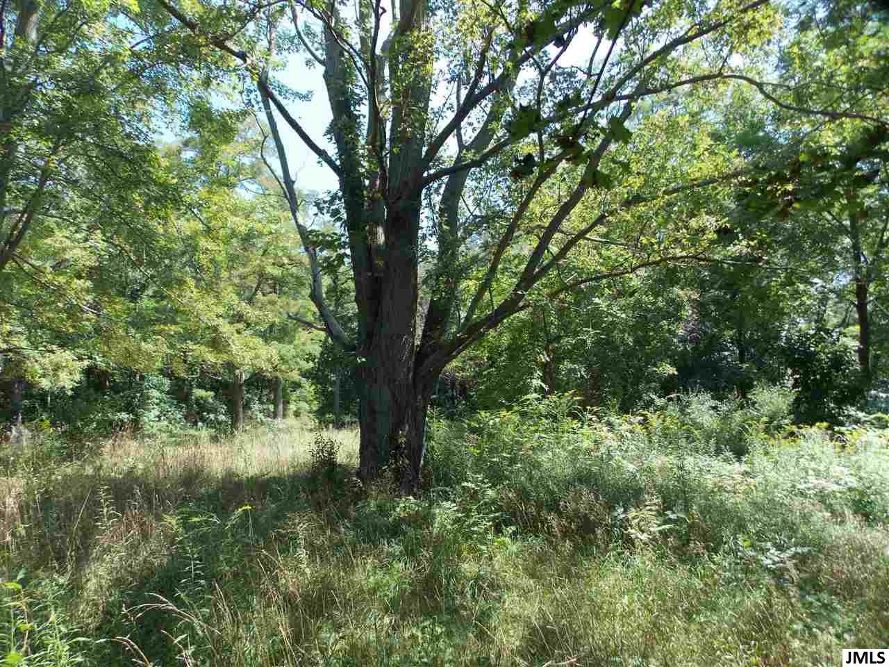8600 Glenn Road Grass Lake, MI 49240 - Photo 5 of 7 Photo 5