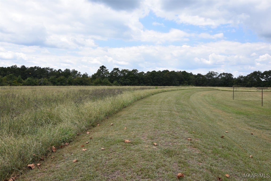 27352 Fleeta Road Opp, AL 36467 - Photo 11 of 57 Gallery Image 11