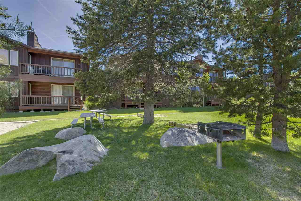 11679 McClintock Loop, Unit 1 Truckee, CA 96161 - Photo 14 of 19 a view of a garden with a bench