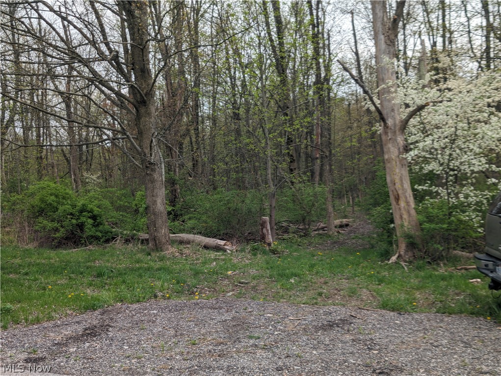 10341 Thwing Road Chardon, OH 44024 - Photo 3 of 8 There is a drive to get on the property to park