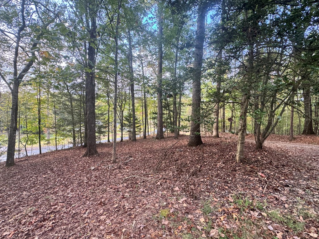 459 Vandora Suits Road Murphy, NC 28906 - Photo 38 of 40 Nice Corner Lot