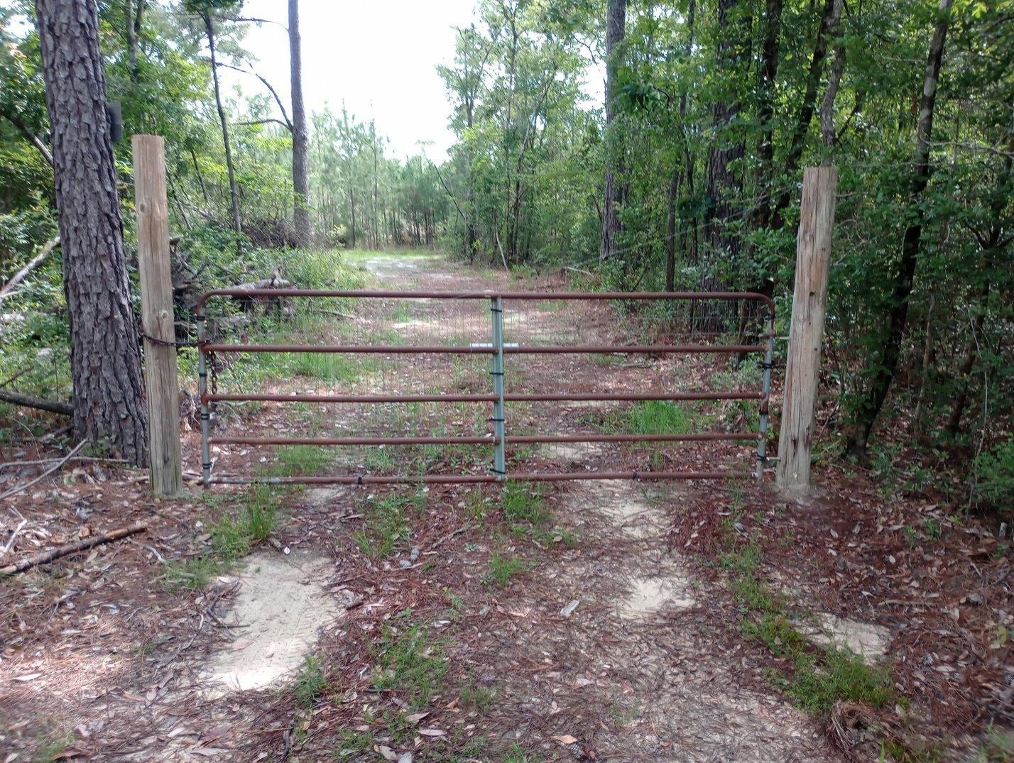 11 Mobley Creek Road Andalusia, AL 36421 - Photo 2 of 23 Gallery Image 2