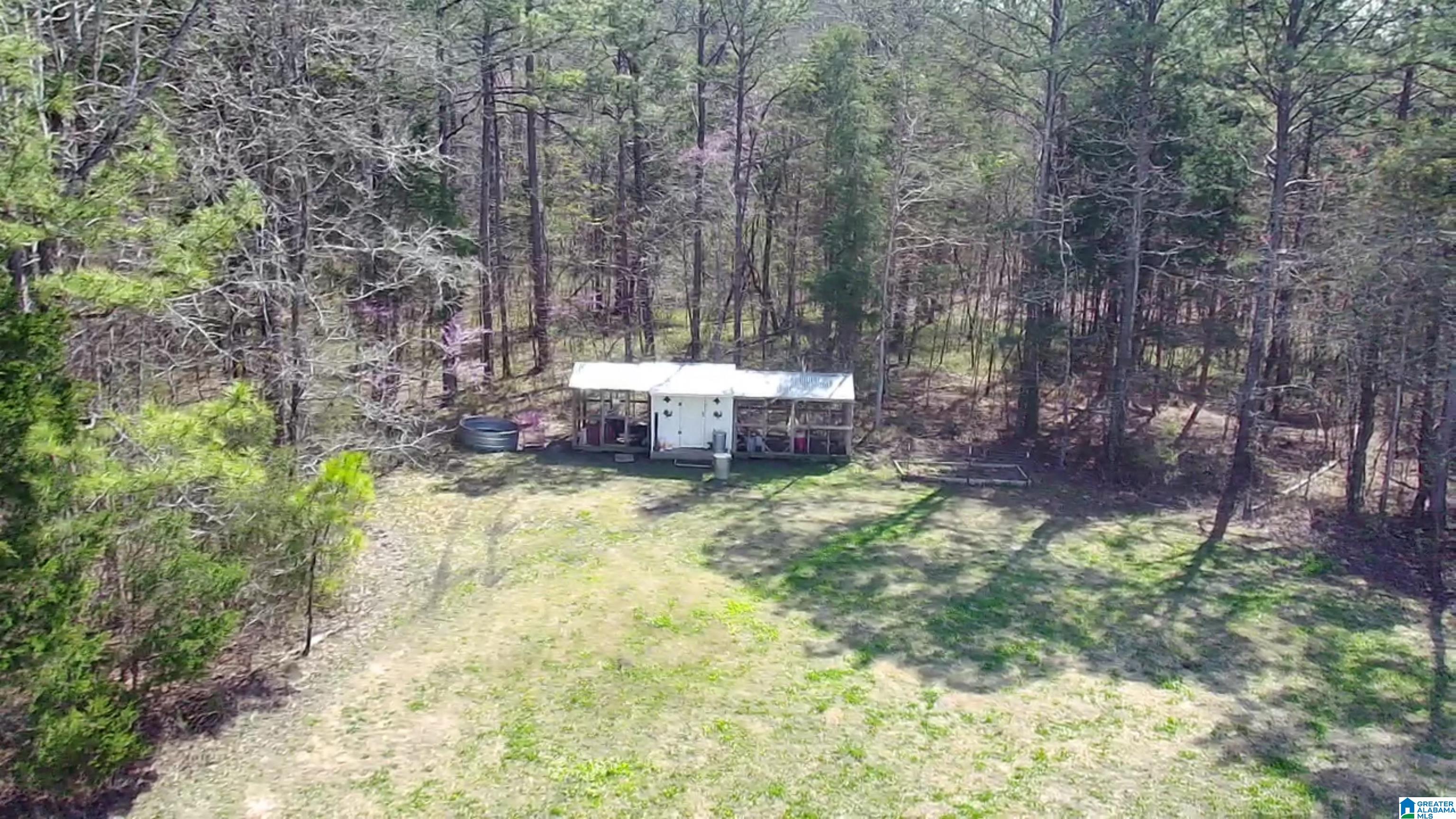 2560 Slasham Road Ashville, AL 35953 - Photo 63 of 77