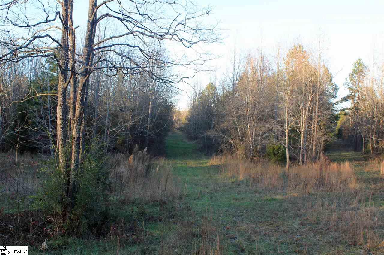 850 Starnes Road Enoree, SC 29335 - Photo 27 of 36