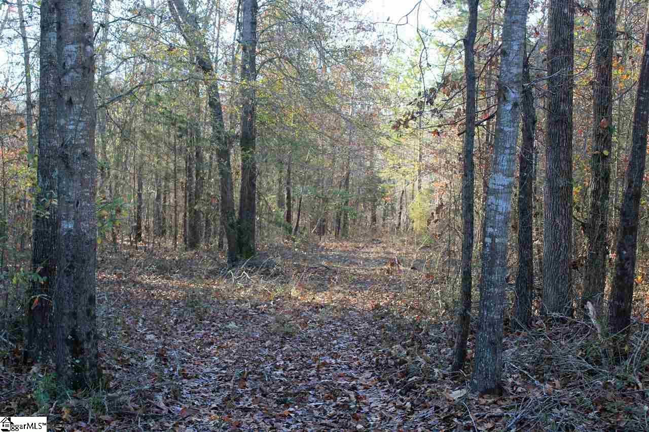 850 Starnes Road Enoree, SC 29335 - Photo 28 of 36