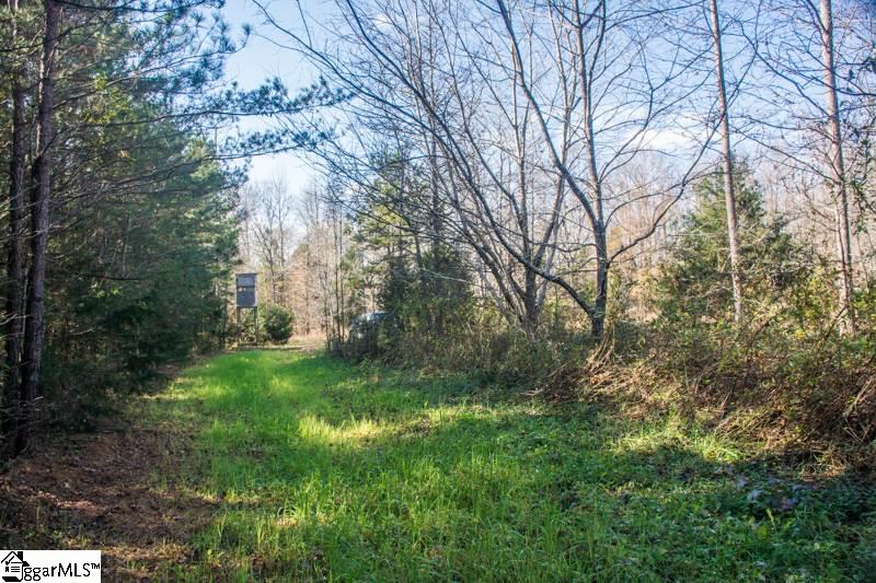 850 Starnes Road Enoree, SC 29335 - Photo 4 of 36