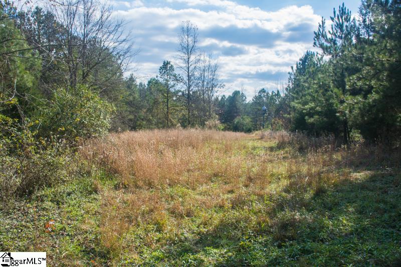 850 Starnes Road Enoree, SC 29335 - Photo 33 of 36
