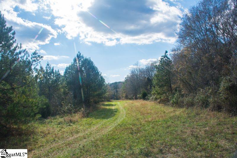850 Starnes Road Enoree, SC 29335 - Photo 5 of 36