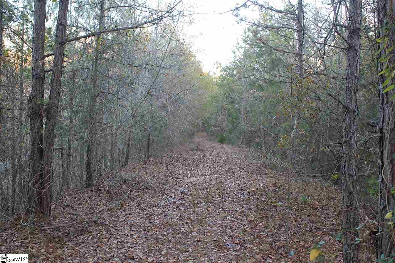 850 Starnes Road Enoree, SC 29335 - Photo 8 of 36