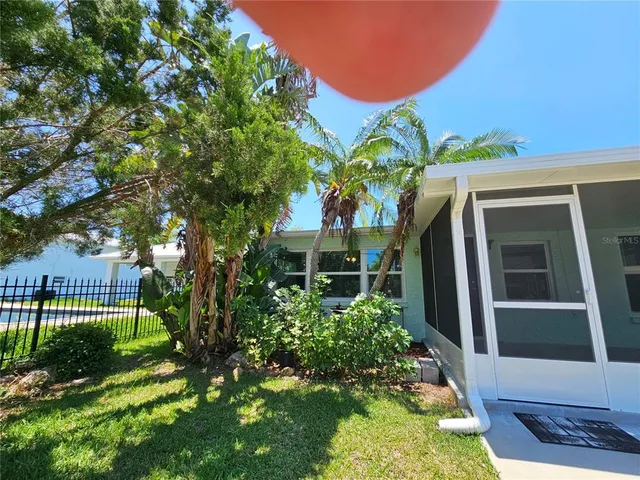 a view of backyard with potted plants and a large tree