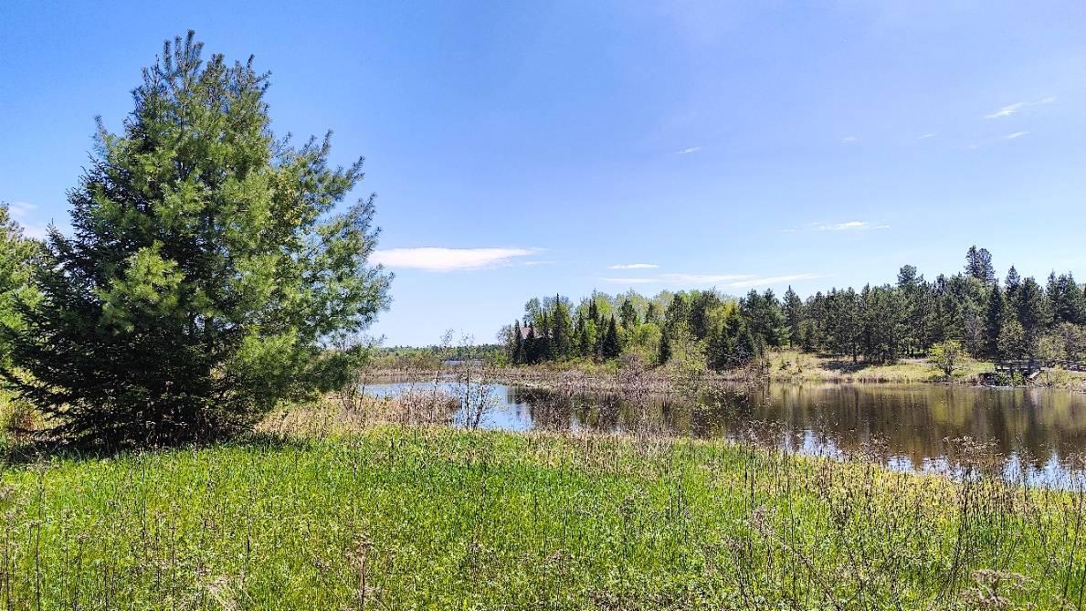 80052 Tamarack Trail Tower, MN 55790 - Photo 20 of 41