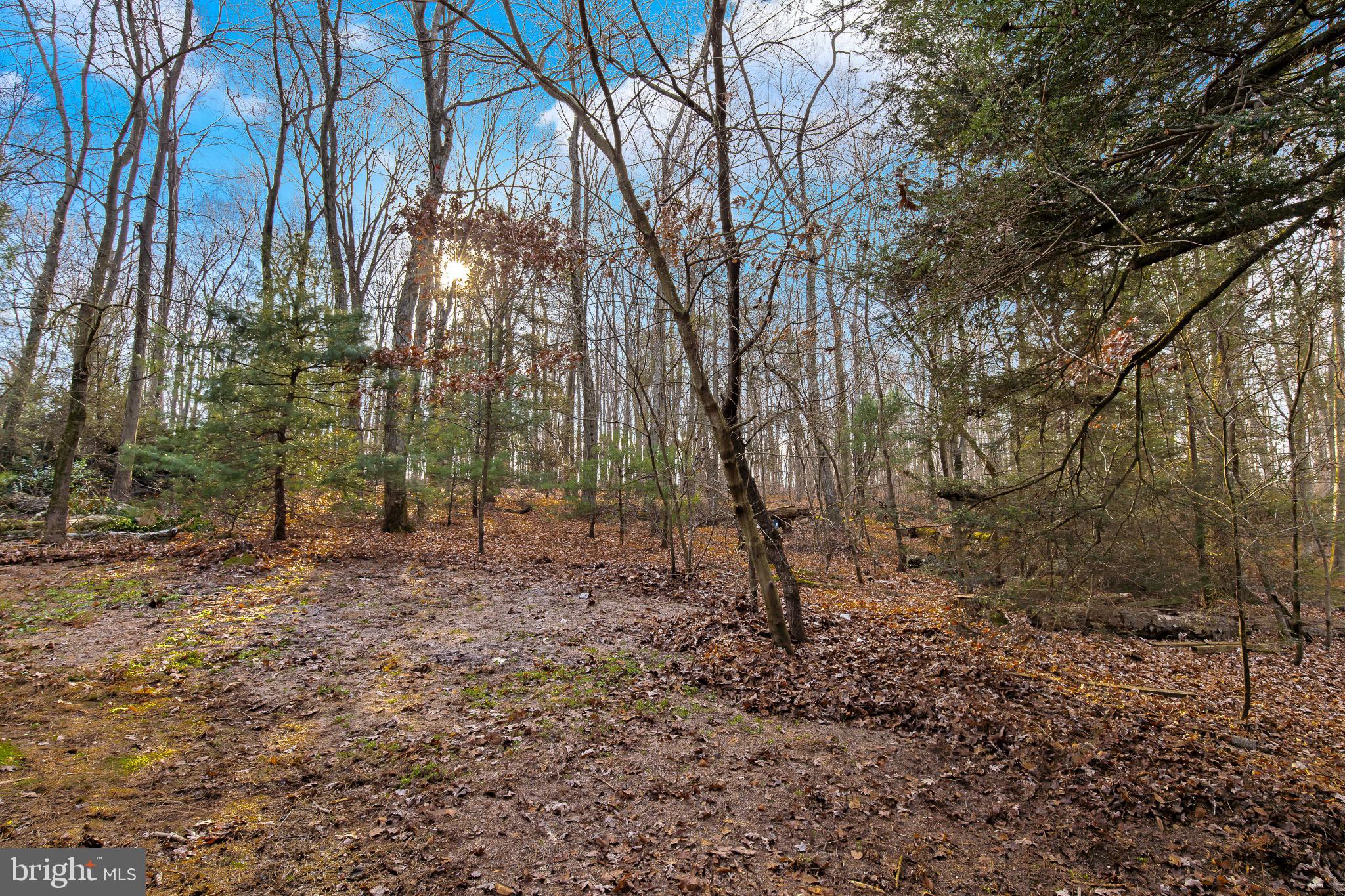10 Schoolhouse Road Kirkwood, PA 17536 - Photo 35 of 38 Yard View