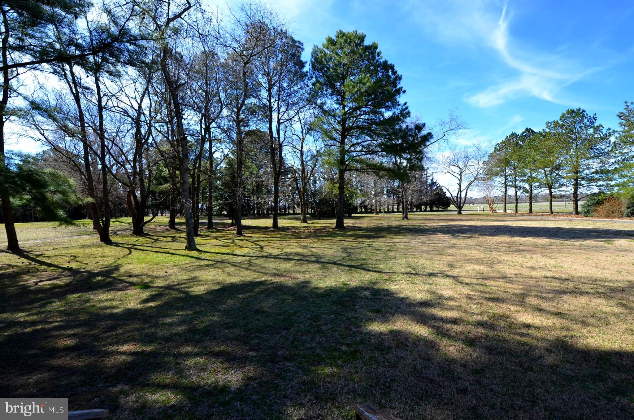6305 George Island Landing Road Stockton, MD 21864 - Photo 17 of 110 View from front \door