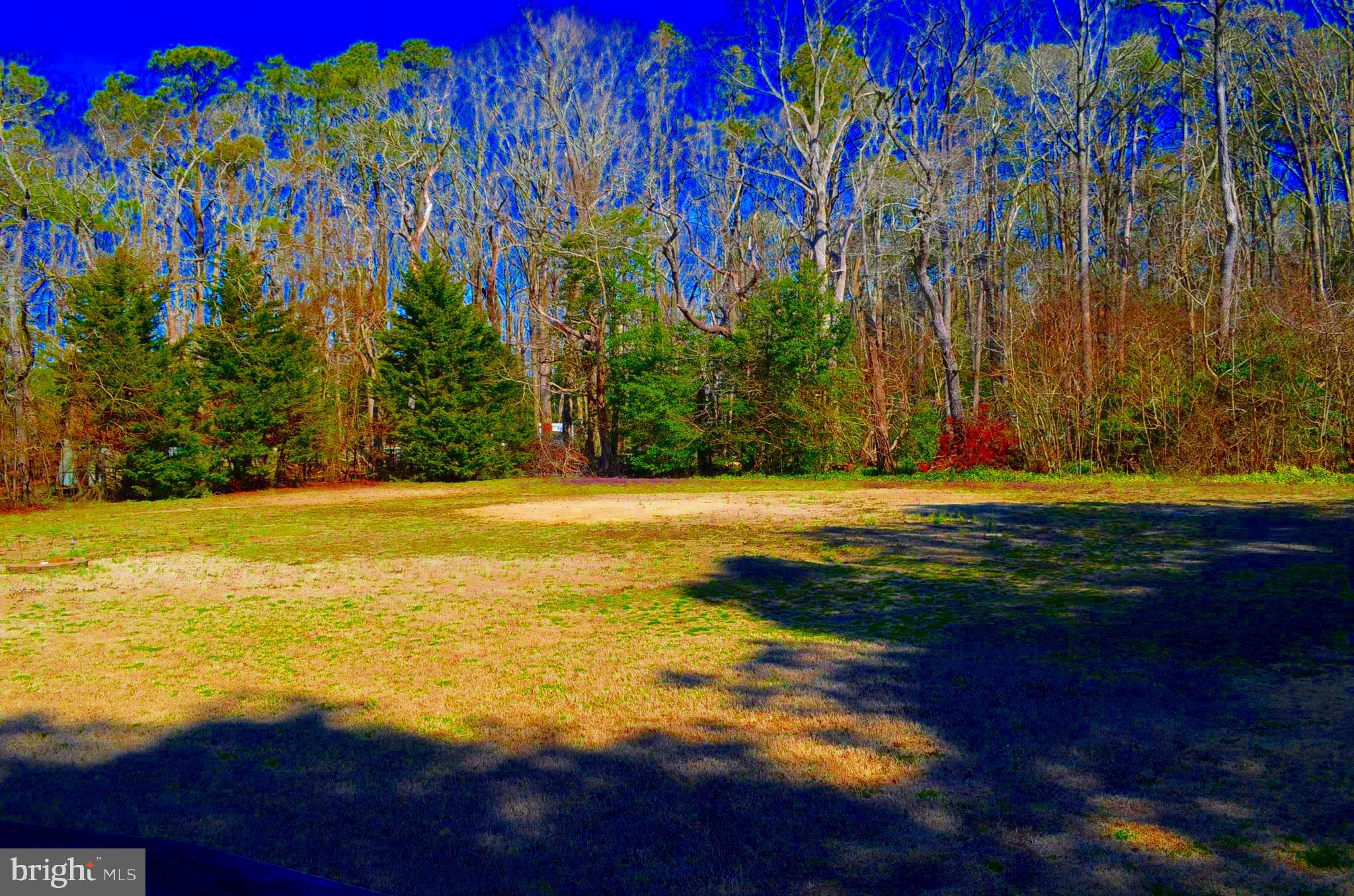 6305 George Island Landing Road Stockton, MD 21864 - Photo 71 of 110 Gallery Image 71