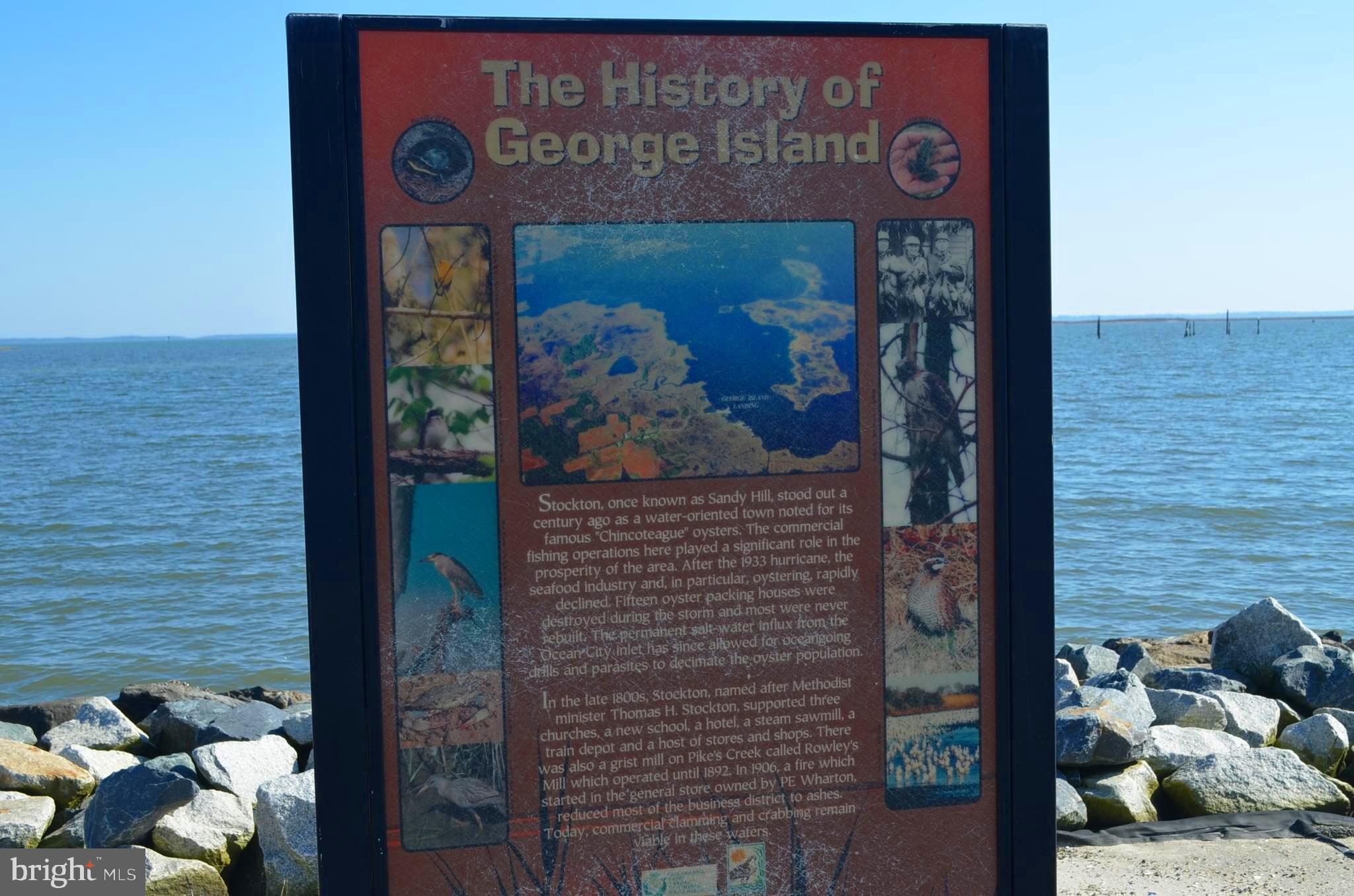 6305 George Island Landing Road Stockton, MD 21864 - Photo 85 of 110 Gallery Image 85