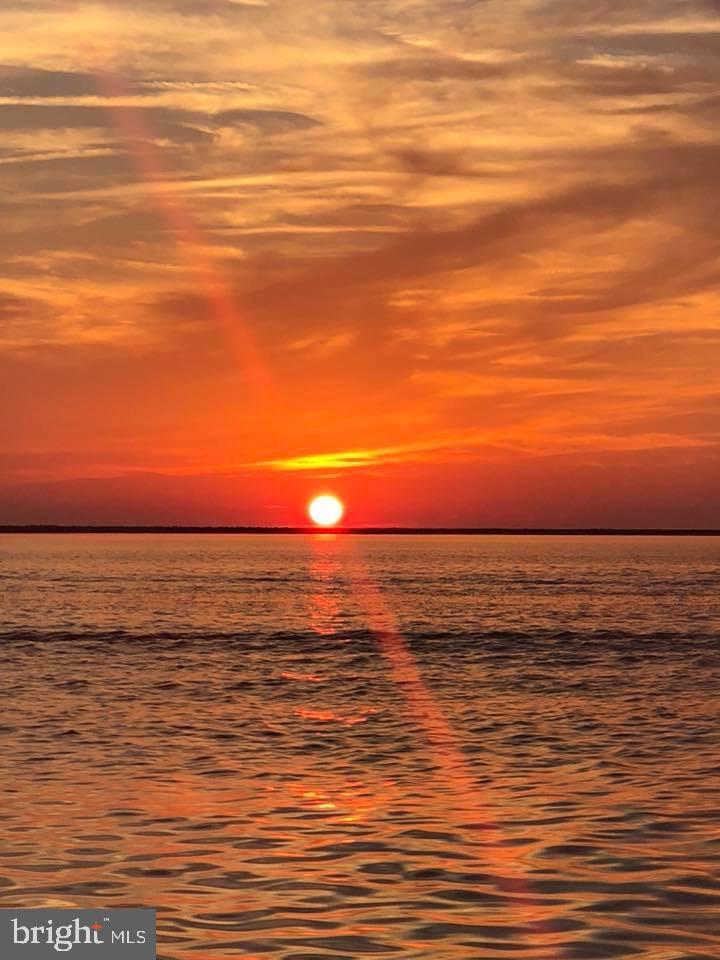 6305 George Island Landing Road Stockton, MD 21864 - Photo 95 of 110 Gallery Image 95