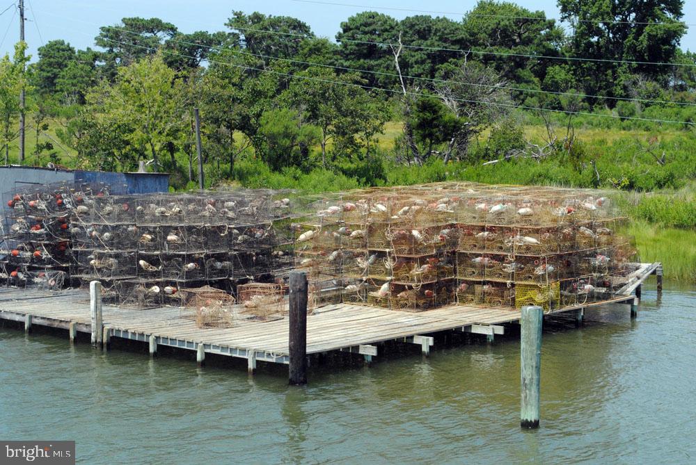 6305 George Island Landing Road Stockton, MD 21864 - Photo 96 of 110 Gallery Image 96