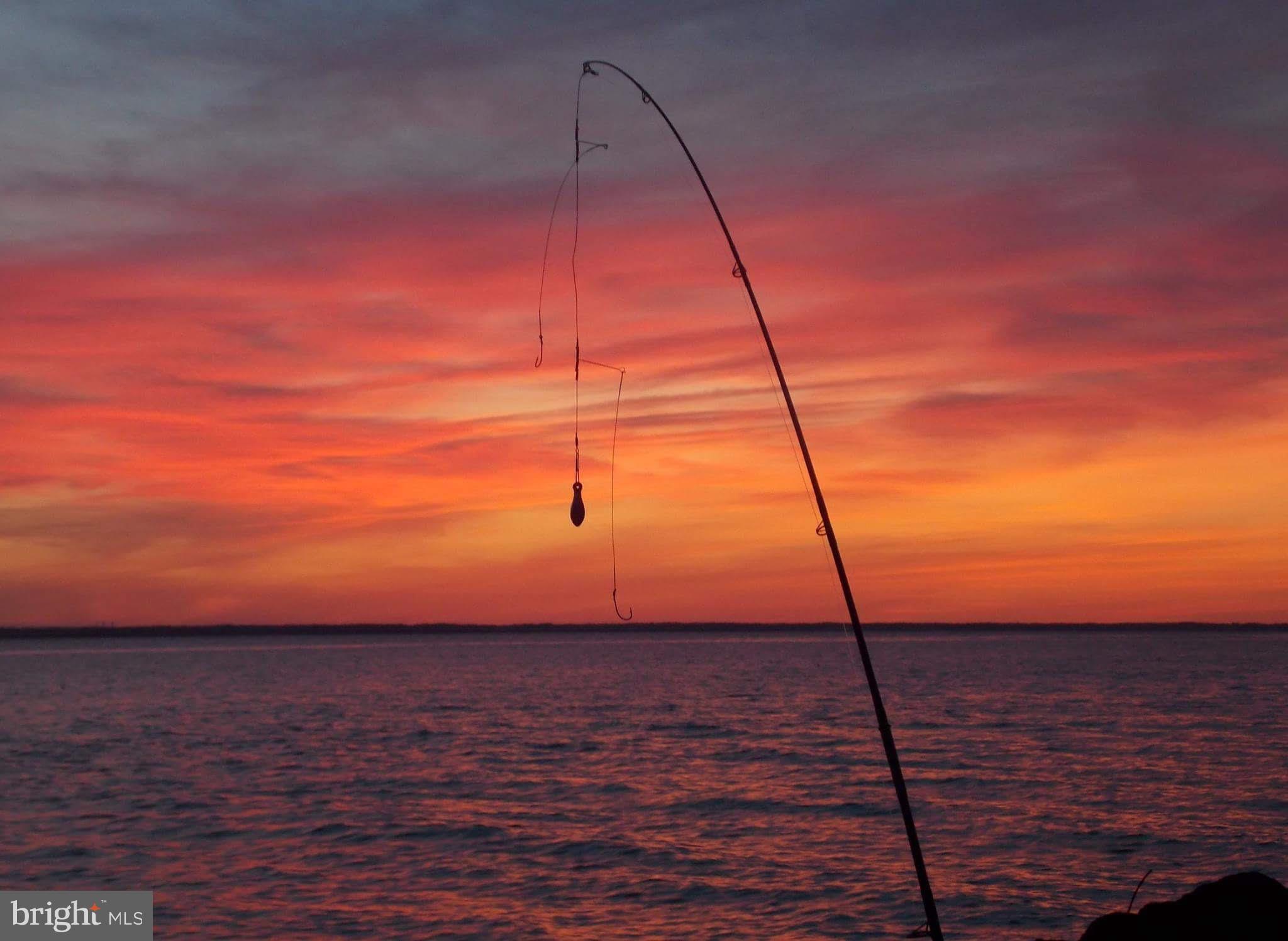 6305 George Island Landing Road Stockton, MD 21864 - Photo 97 of 110 Gallery Image 97