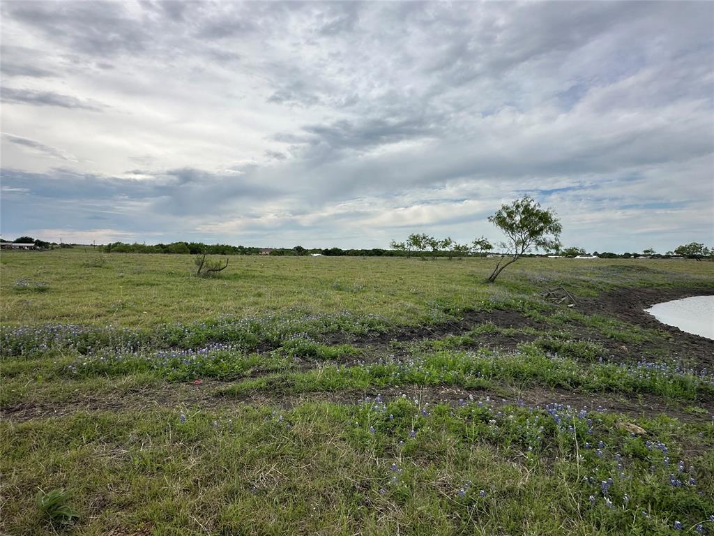 241 Gentry Road Ennis, TX 75119 - Photo 32 of 40 a view of a field with an ocean and trees in the background