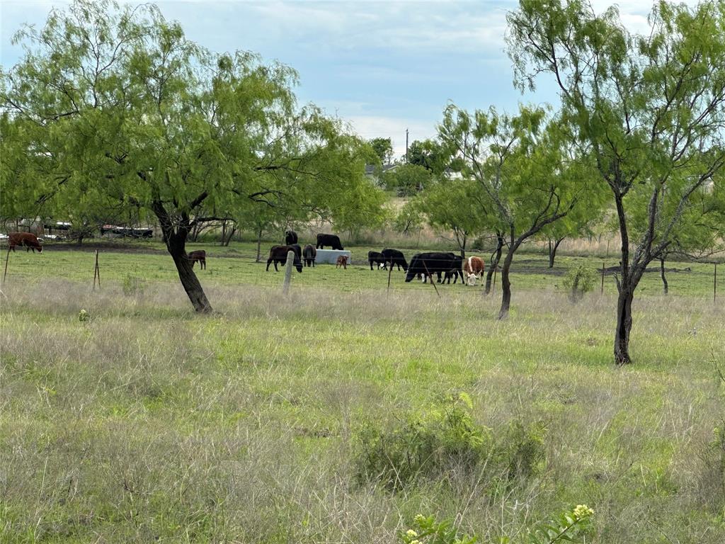 241 Gentry Road Ennis, TX 75119 - Photo 33 of 40 a view of some trees in a yard