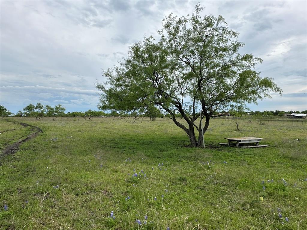 241 Gentry Road Ennis, TX 75119 - Photo 36 of 40 a view of a lake with a big yard