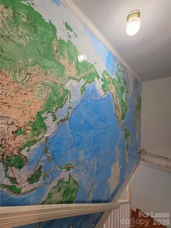 a view of a plant in a pot