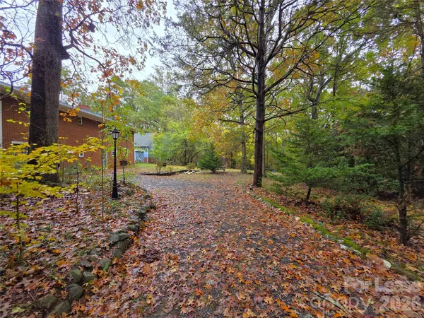 a view of a yard with plants and trees