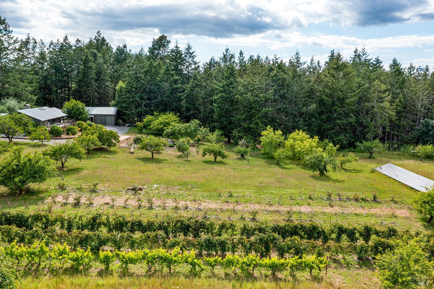 2630 Burnside Road Sebastopol, CA 95472 - Photo 72 of 81