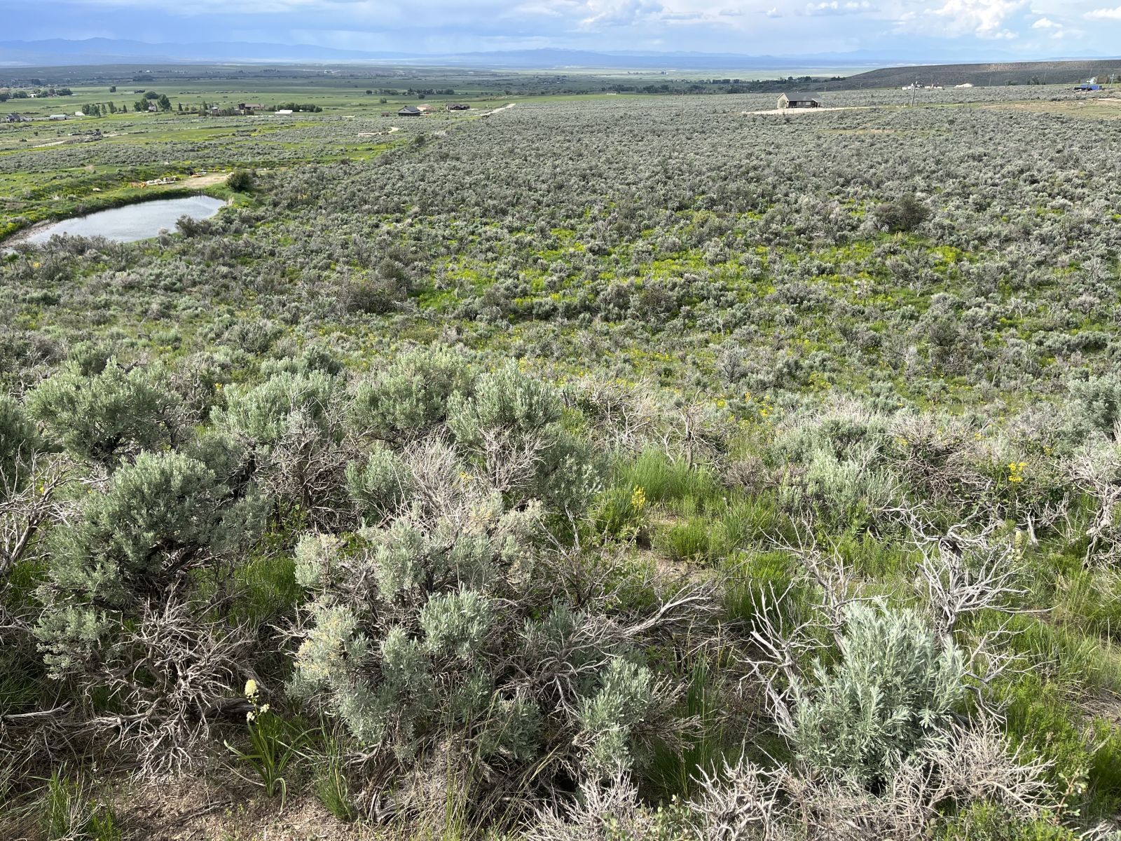 Foothill Circle Lamoille, NV 89828 - Photo 4 of 5