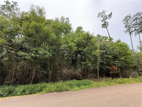 $50,000 | 153 A Derbes Drive, Covington, LA 70433