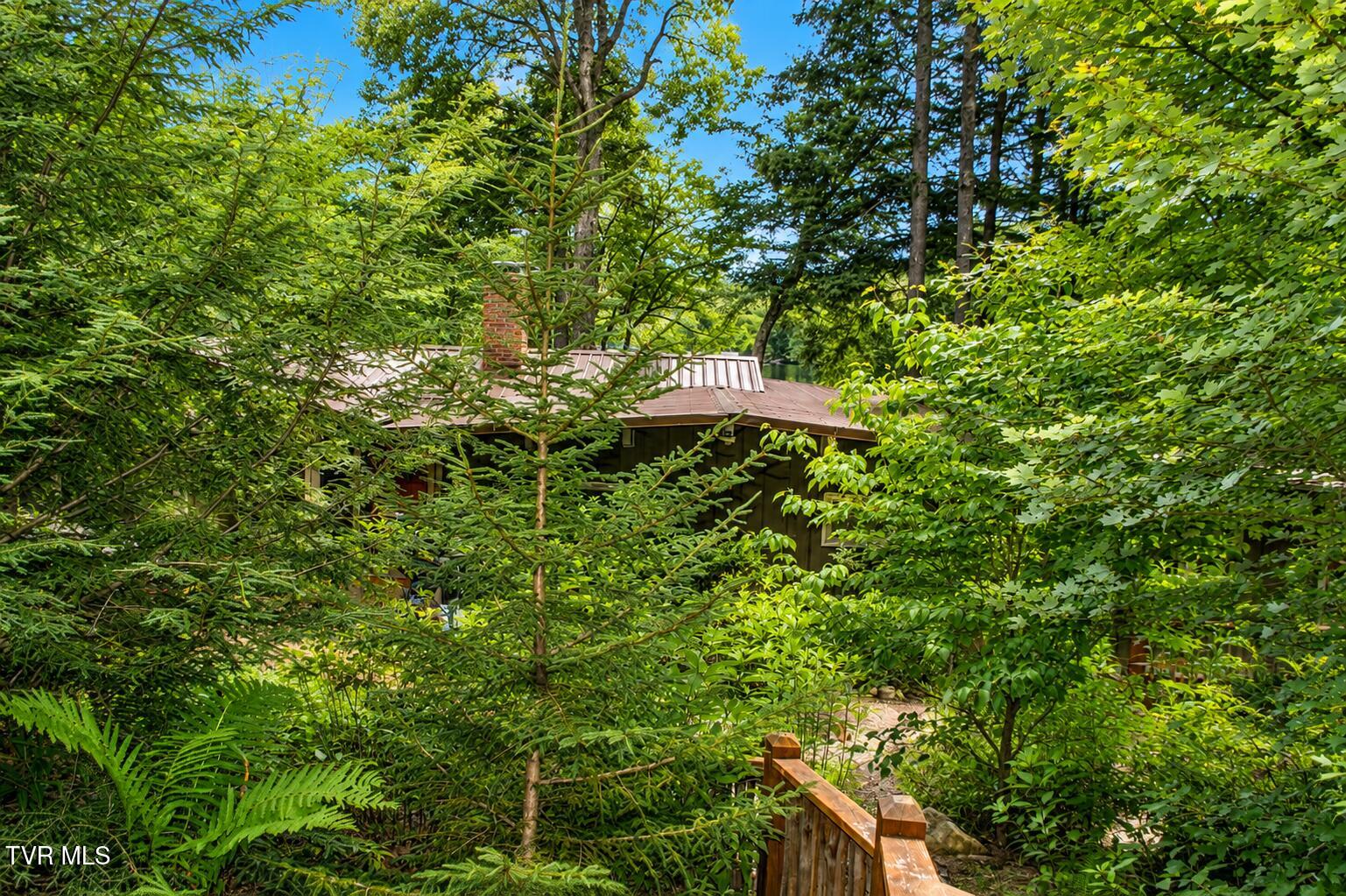 282 Ripshin Lake Road Roan Mountain, TN 37687 - Photo 30 of 72 front
