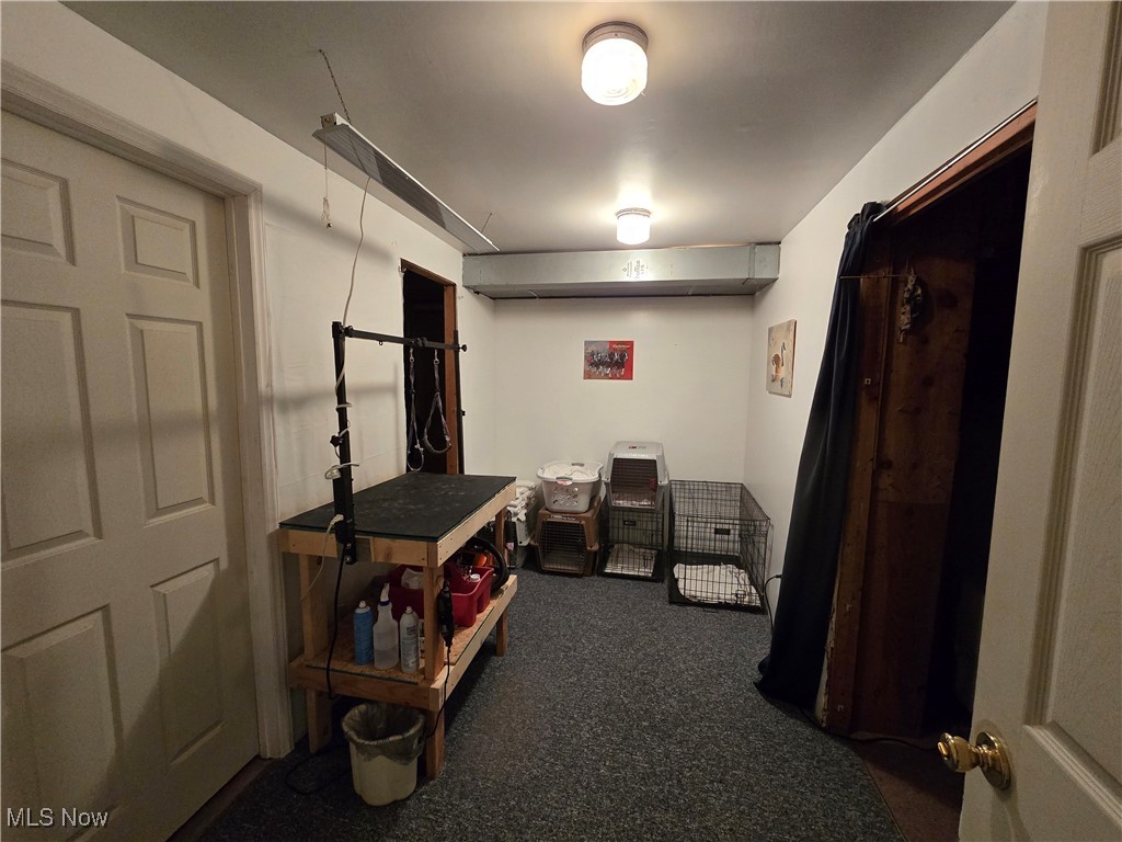 33 Lane Road Vincent, OH 45784 - Photo 26 of 36 Basement featuring carpet floors
