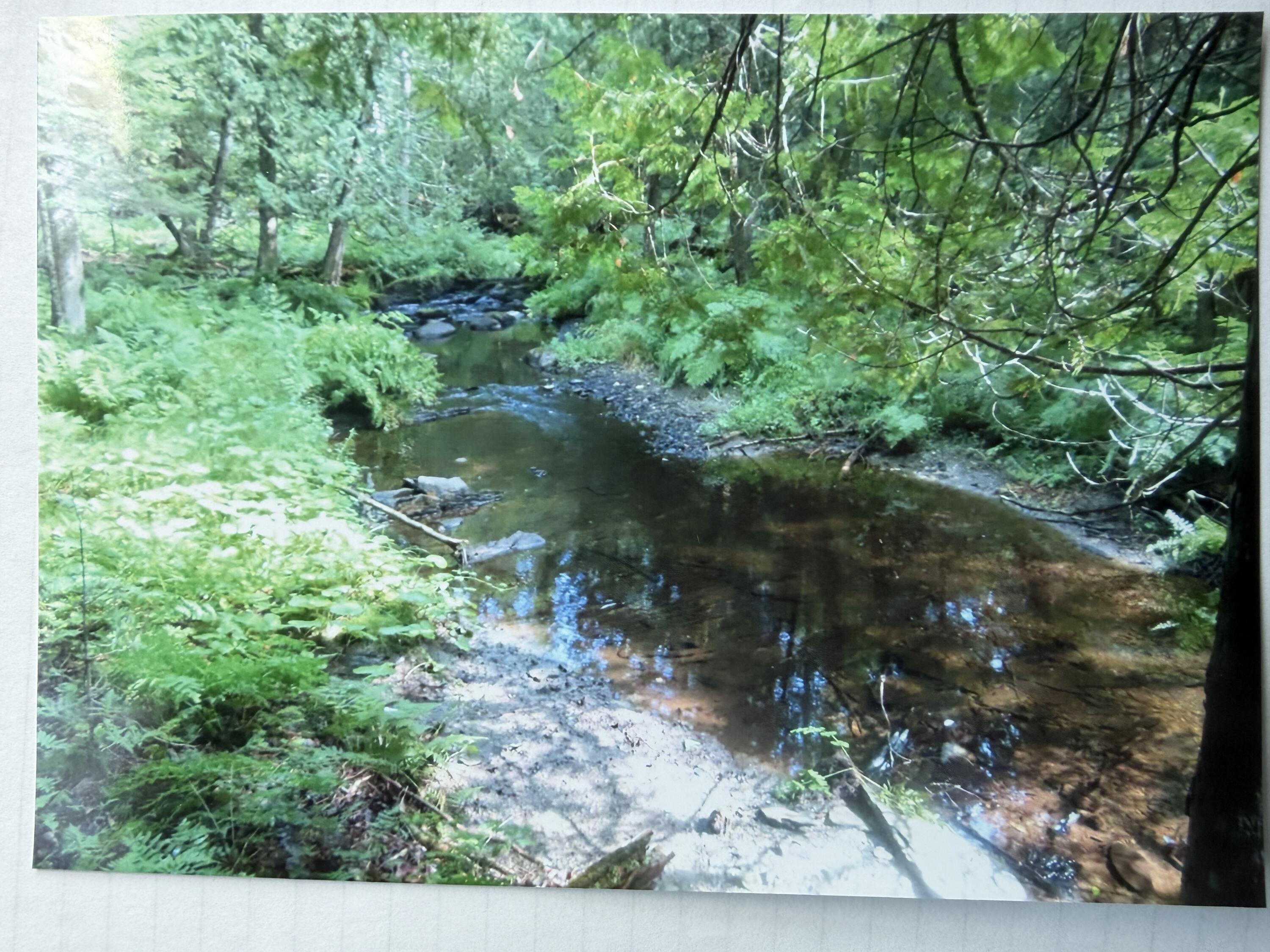 510 Milo Road Dover-Foxcroft, ME 04426 - Photo 4 of 35 Brook Frontage