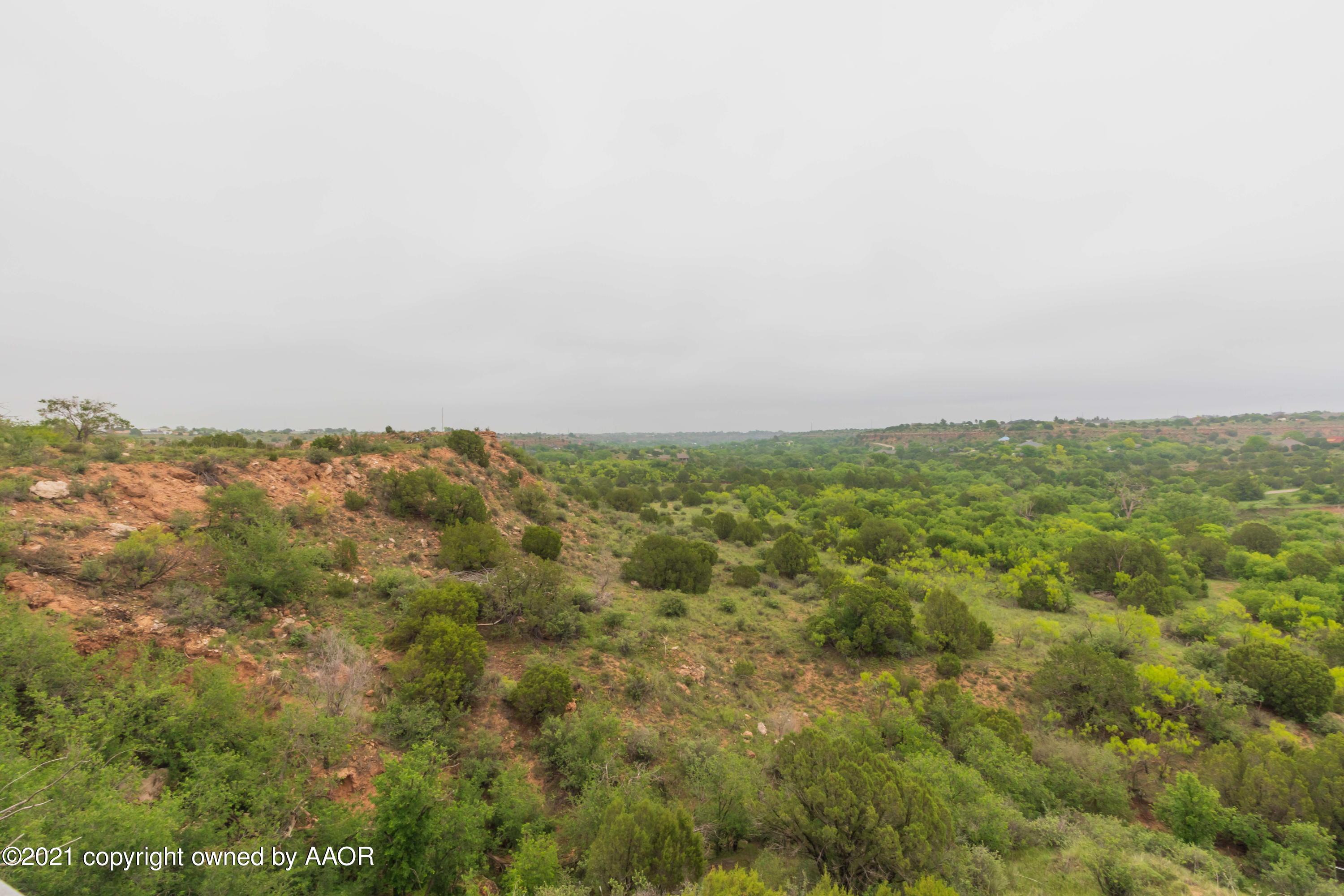 808 Craft Center Road Amarillo, TX 79118 - Photo 62 of 77 BACKYARD VIEW 3