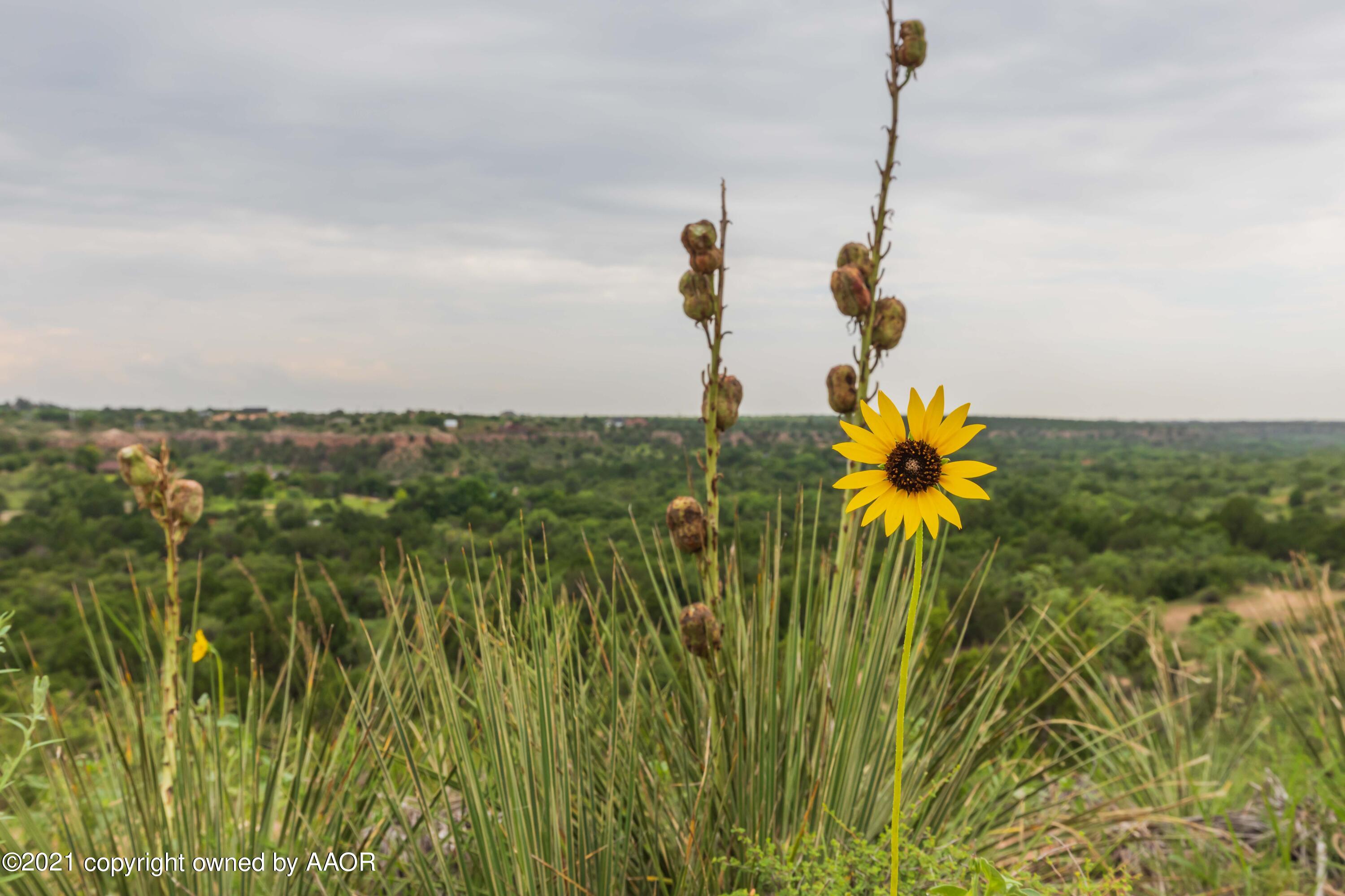 808 Craft Center Road Amarillo, TX 79118 - Photo 70 of 77 BACKYARD VIEW 13