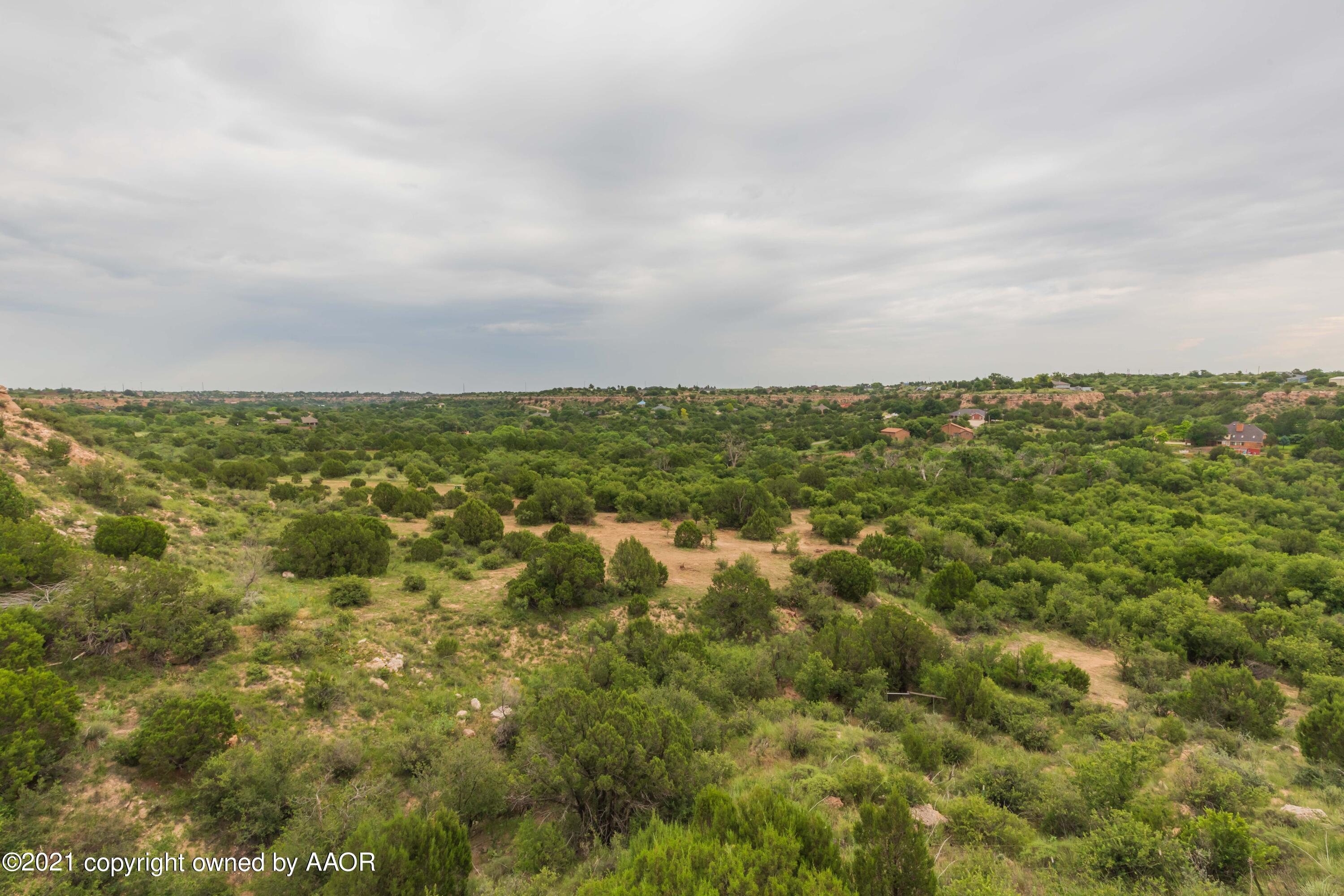 808 Craft Center Road Amarillo, TX 79118 - Photo 74 of 77 BACKYARD VIEW 5