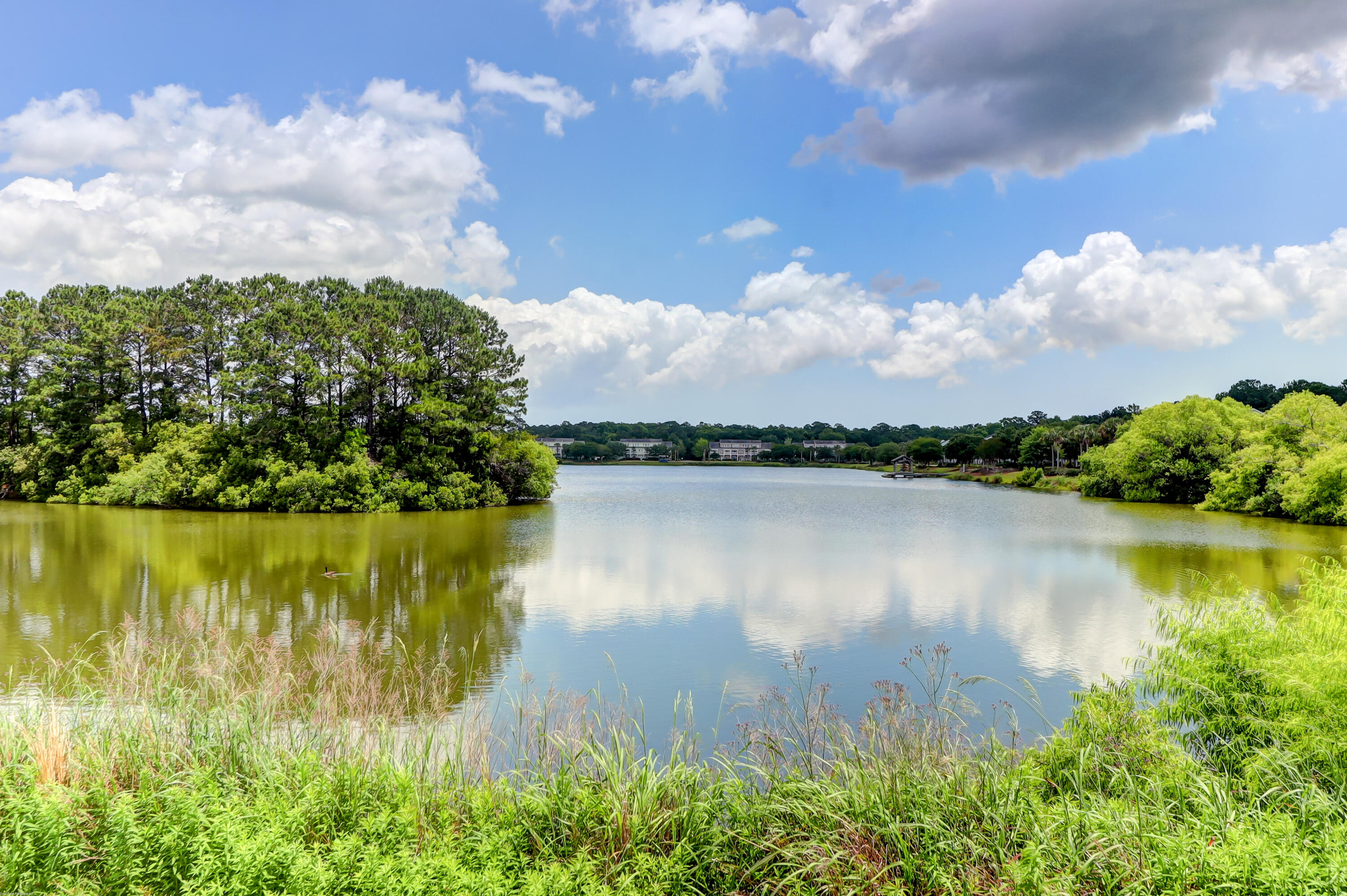 2907 Waterleaf Road Johns Island, SC 29455 - Photo 35 of 36 2907 Waterleaf -Tidalcreekphoto- (43)
