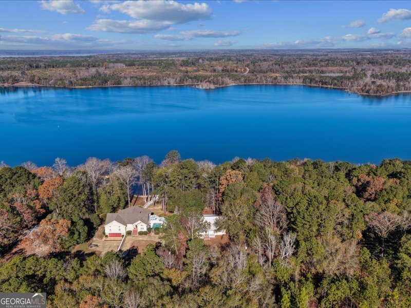 221 Sunset Point Road Fort Gaines, GA 39851 - Photo 41 of 58